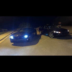 Meet your Posher, Dylan